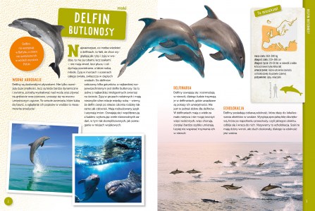 Poznaj z nami zwierzęta Europy elibri 1